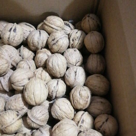 大荔县清香核桃 