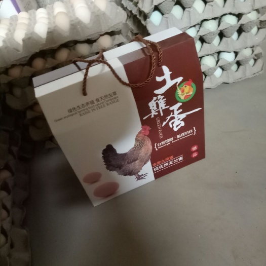 河间市土鸡蛋 食用 礼盒装 