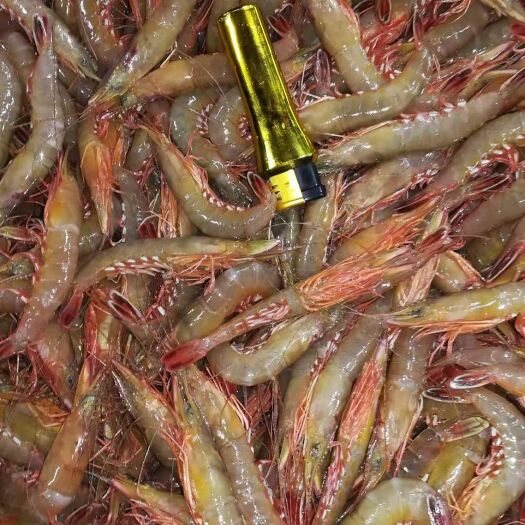 漳州深海海鲜 