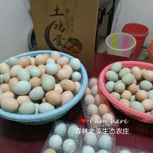 成都土鸡蛋  箱装 食用 有60/箱   100/箱