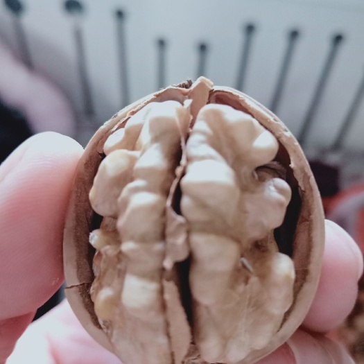 阿克苏市新疆185核桃 