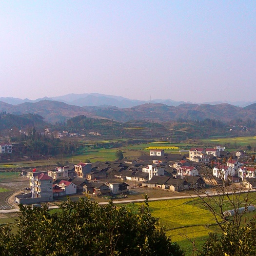 滩涂