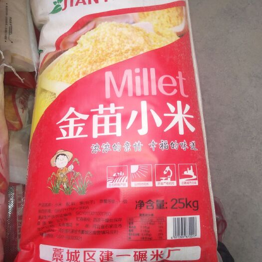 巨鹿县黄金苗小米 
