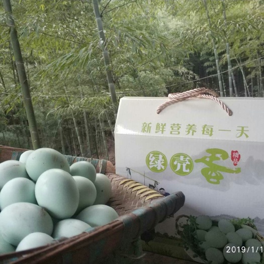 邛崃市绿壳鸡蛋 散装 食用