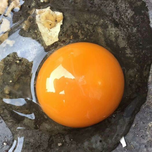 新化县土鸡蛋 简包装 食用