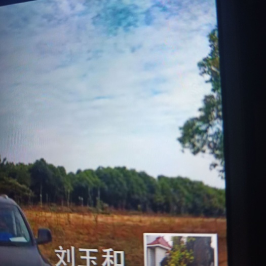 肥东县果园 出租 30~50年 500~1000亩 