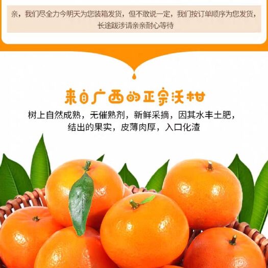 南宁皇帝柑 统货 3两以上 