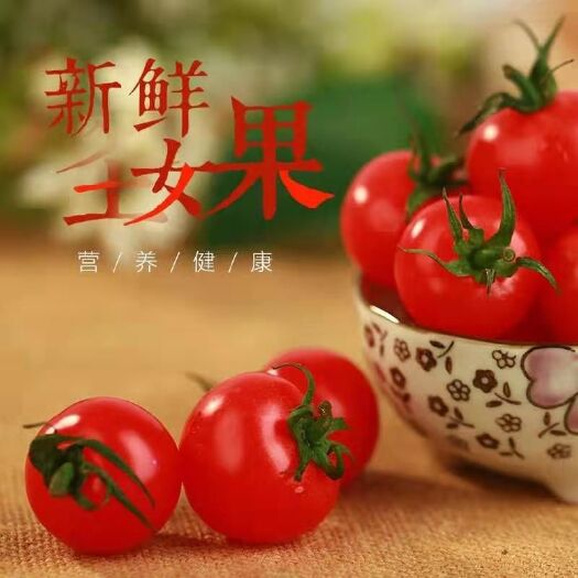 莘县千禧圣女果 
