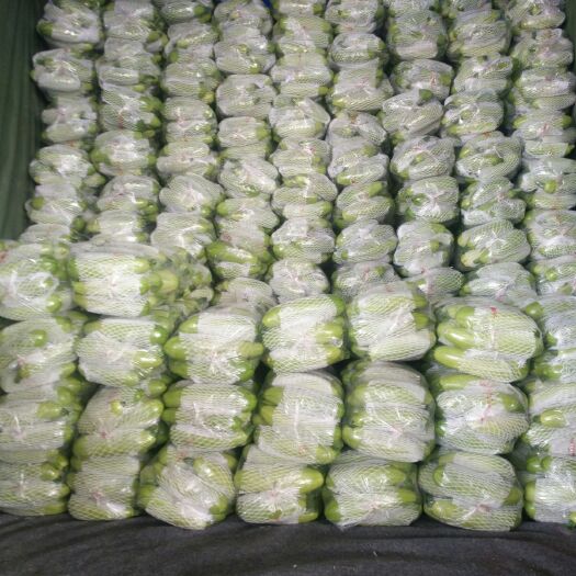聊城山东省聊城市东昌府区精品绿皮西葫芦