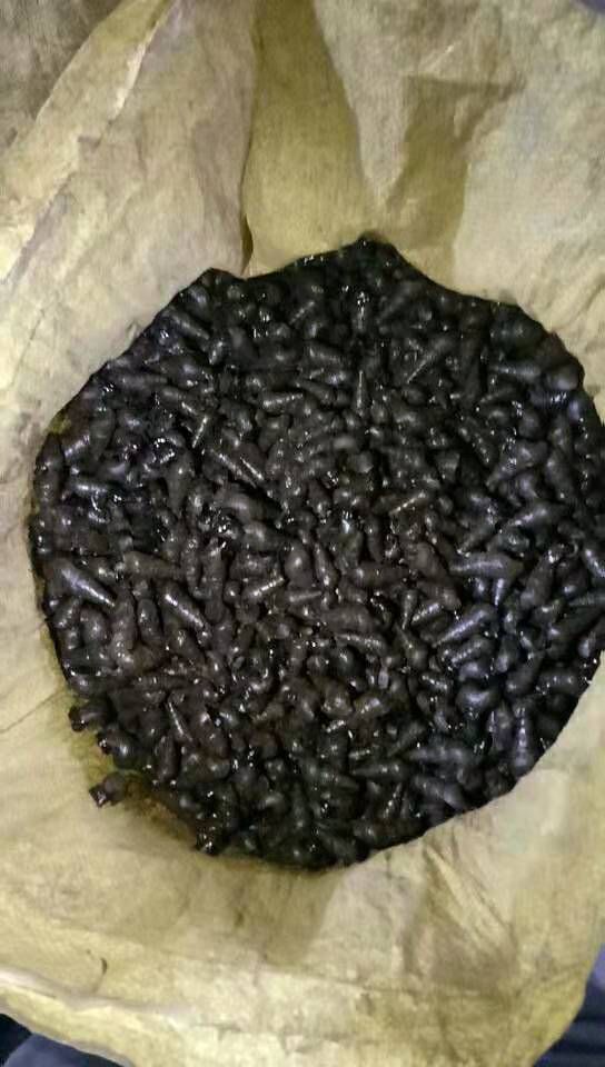 长期供应山坑螺 。