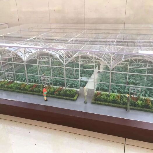 沭阳县种植大棚  种植大棚尺寸可定制