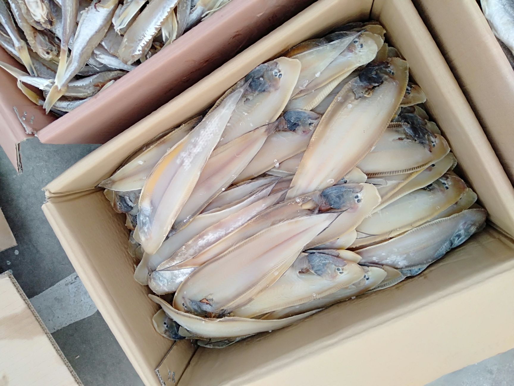 濱州咸魚 剛上市的新鮮魚，肉厚，沒有亂剌，老人，小孩都可以吃。