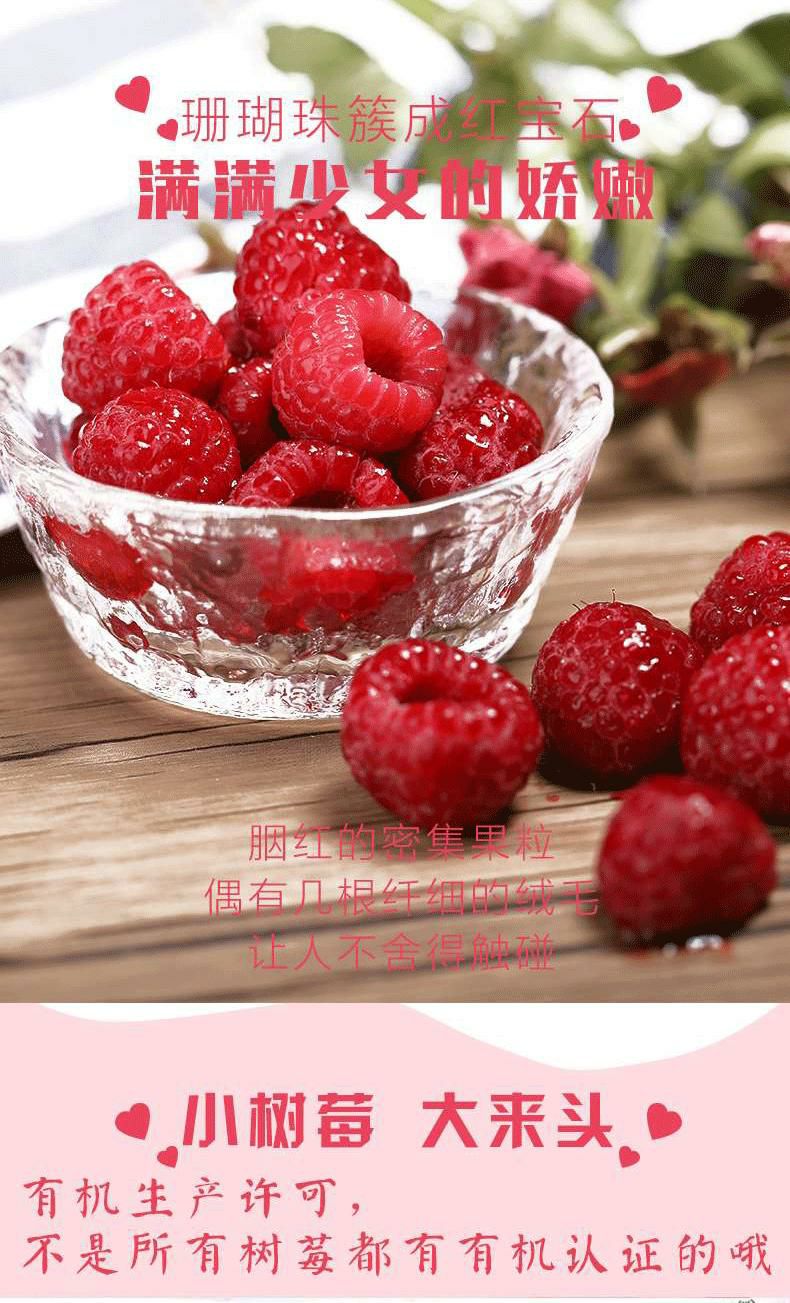 潮州红树莓 鲜果