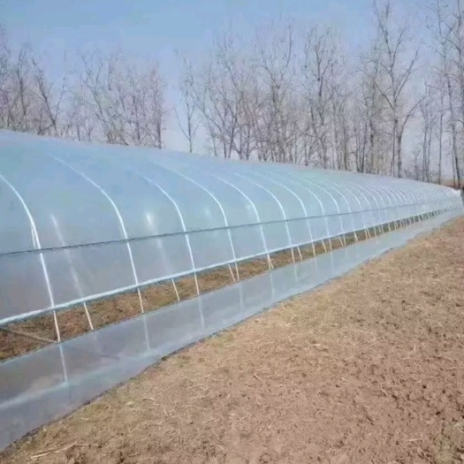 沭阳县单体棚 