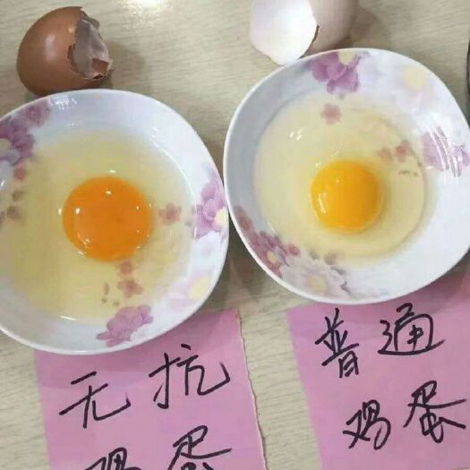 霸州市白蛋 食用 箱装 