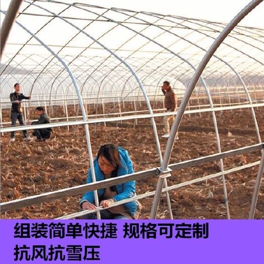 新沂市大棚钢管