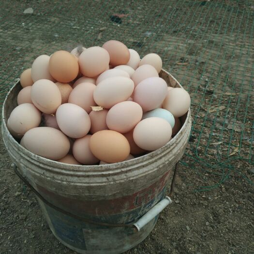 大厂县土鸡蛋 孵化 简包装 