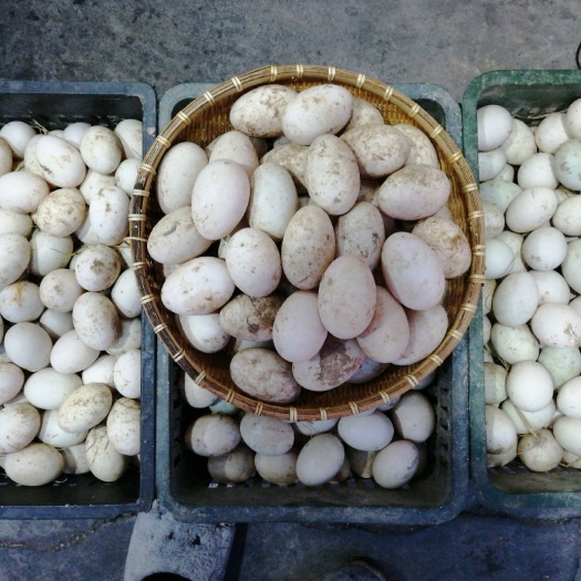盐城土鸭蛋 食用 箱装 