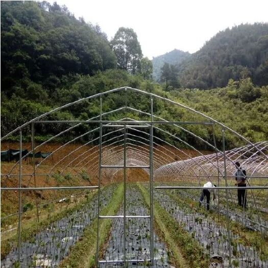 新沂市大棚钢管 