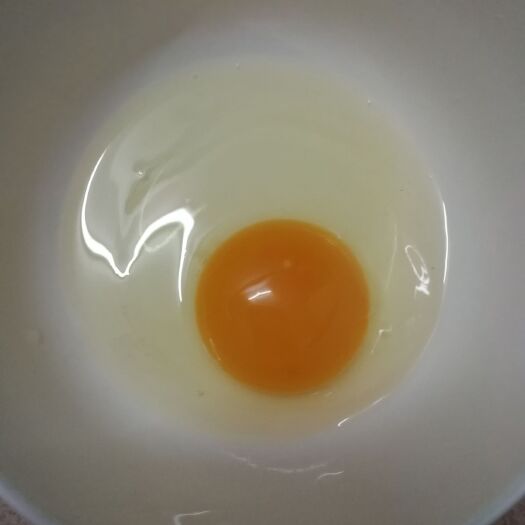 厦门土鸡蛋 食用 简包装 