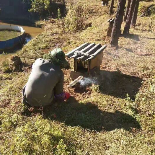上海云南冬蜂蜜 玻璃瓶装 1年  