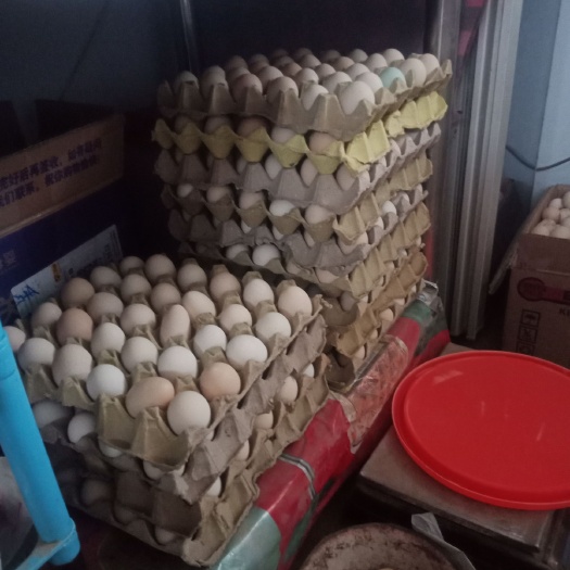 隆尧县笨鸡蛋 食用 散装 