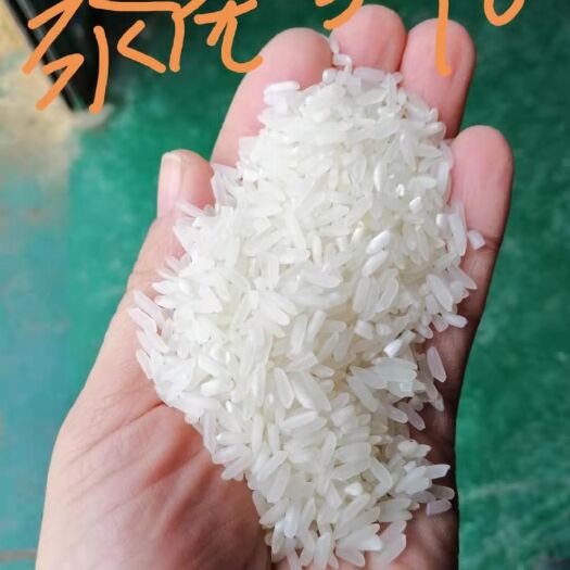 娄底毛米  一等品 晚稻 籼米 泰优390