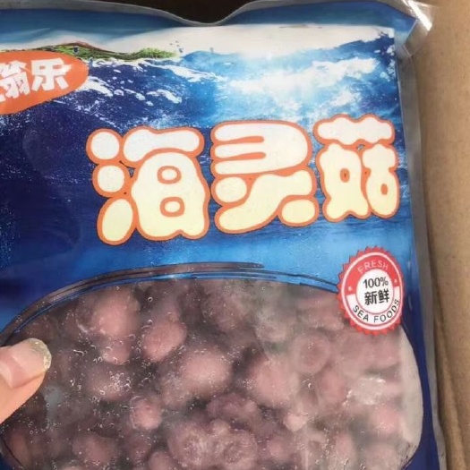 大连鱿鱼 