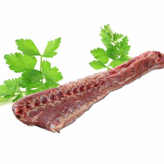 石家庄 小牛脊骨血，清牛