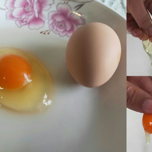 滨州粉蛋 食用 箱装 