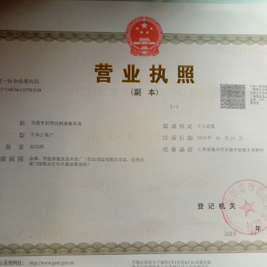 乐陵市金蝉  2024年新卵枝