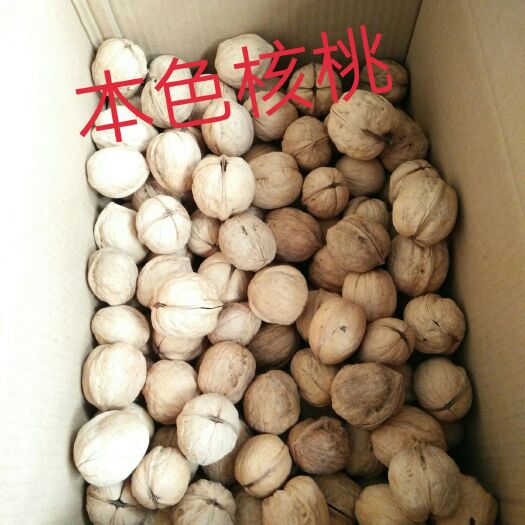 汾阳市新疆185核桃 