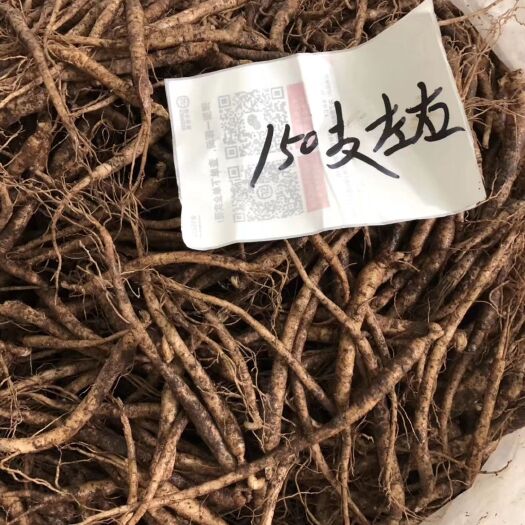 通化县 长白山新鲜人参煲汤炖汤泡酒,养生佳品。