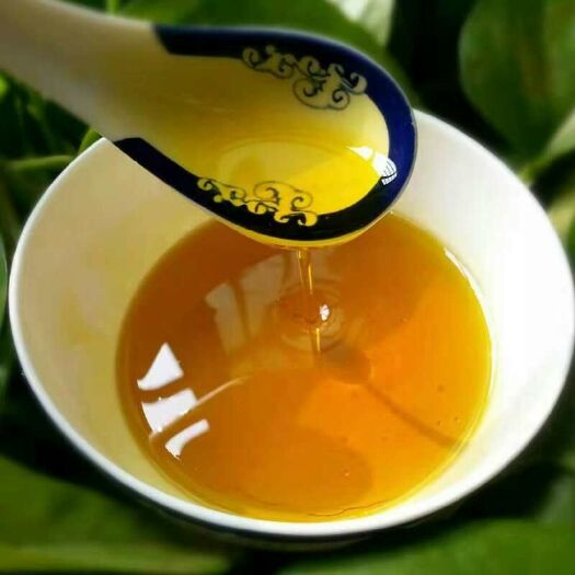 富平县纯菜籽油 