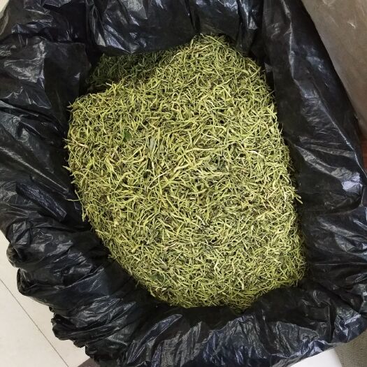 成都山银花