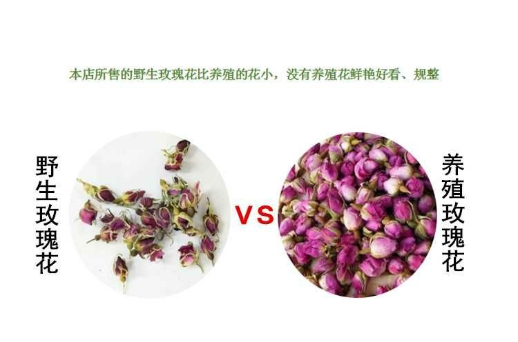 本溪县玫瑰花  野生