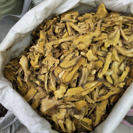 成都秀山虎杖