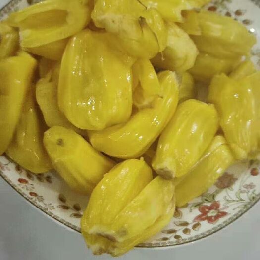 海南直发黄肉菠萝蜜 单果15斤起 现摘现发 果大苞满