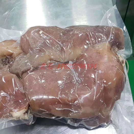 濮阳肉羊 300斤以上 
