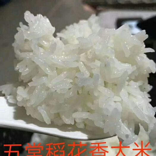 五常市稻花香二号大米 一等品 一季稻 粳米 