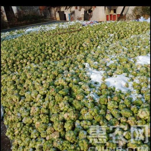 盐渍榨菜 