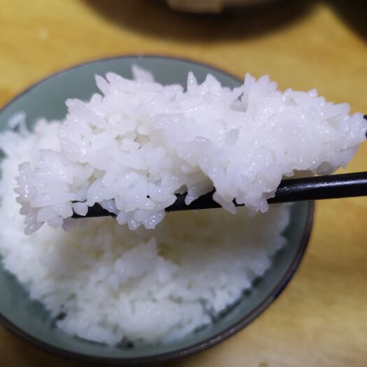 通化县蟹田米 一等品 一季稻 粳米 