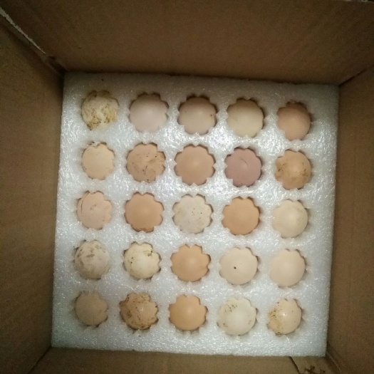 洞口县乌鸡蛋  箱装 食用 土鸡蛋