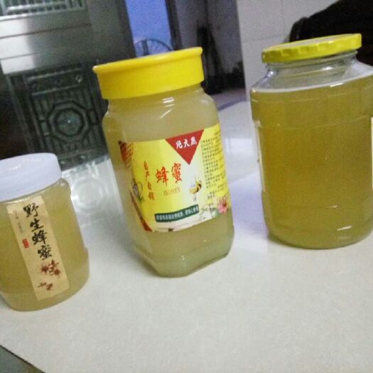 连山县鸭脚木蜜 玻璃瓶装 2年以上  