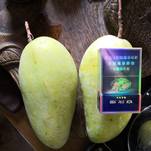 灵山县金煌芒果苗 
