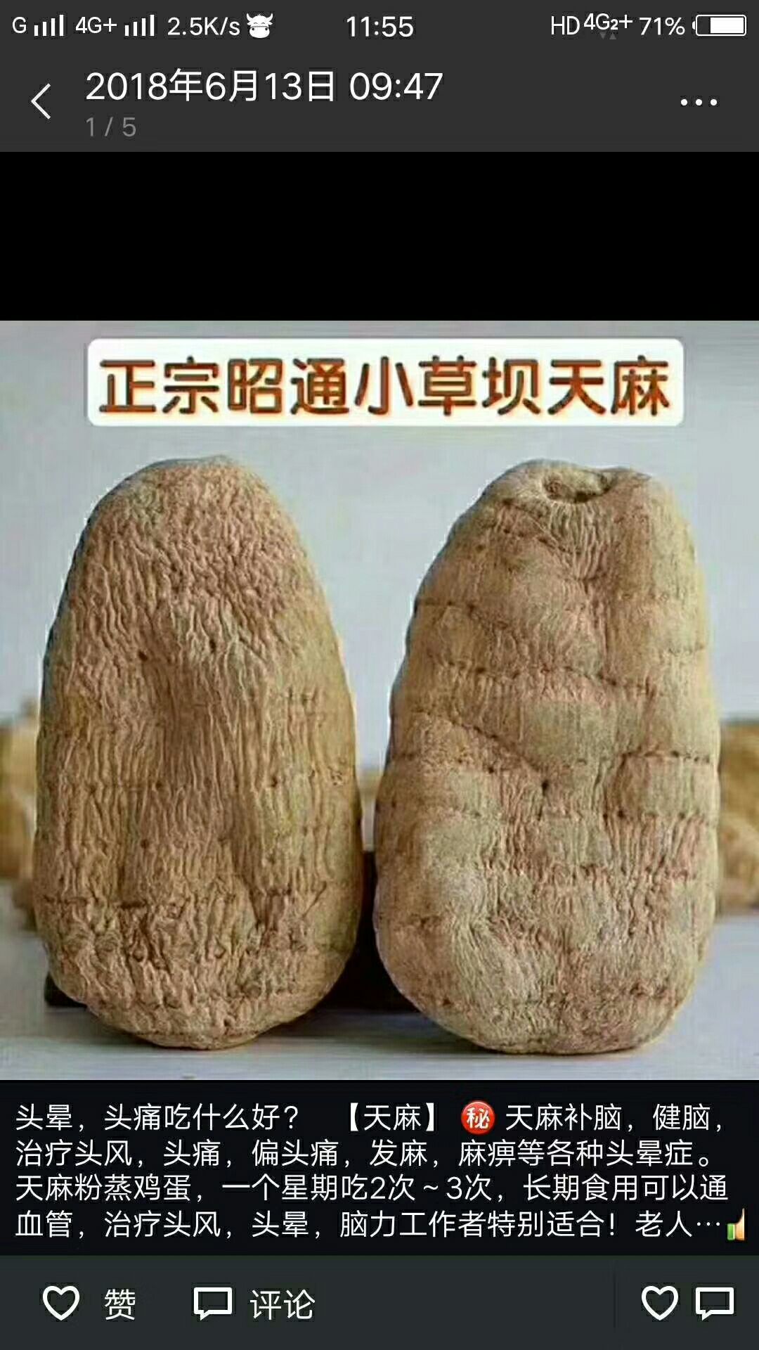 小草坝天麻 