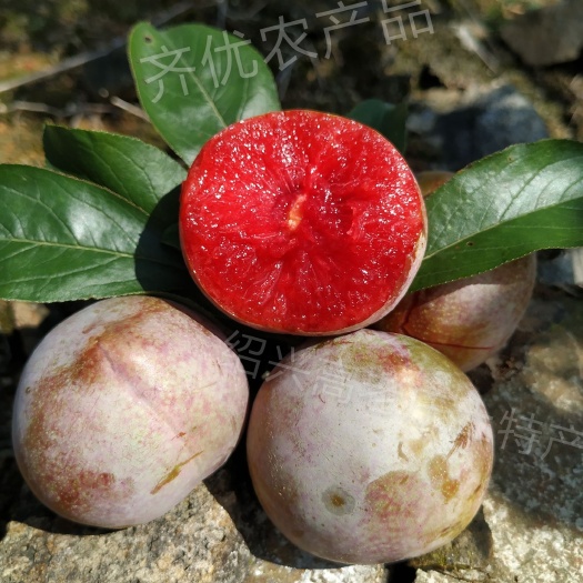李子 桃形李