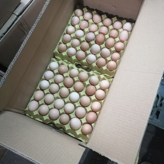 建湖县草鸡蛋 食用 箱装
