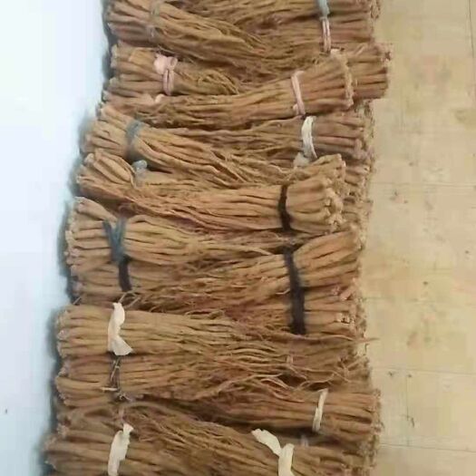 威宁县白条党参 