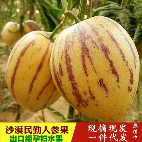 民勤县民勤人参果  3 - 4两以上 ，质量保证，包邮每箱5斤
